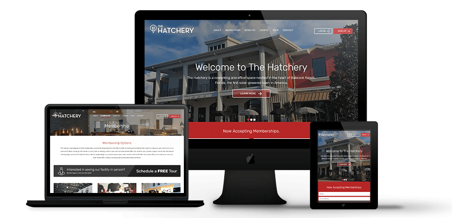 The Hatchery